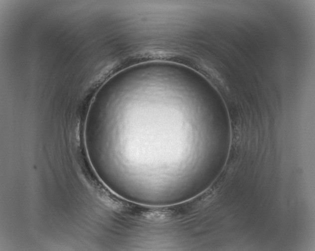 X0000077990358200611101734