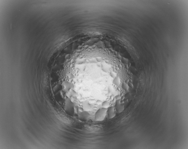 X0000077990359200611101734