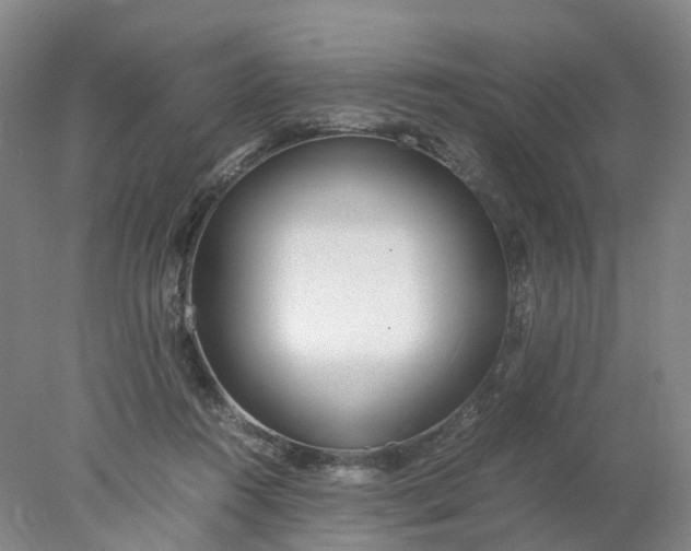 X0000077990360200611101734