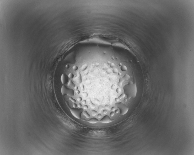 X0000077990361200611101734