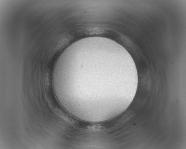 X0000077990362200611101734