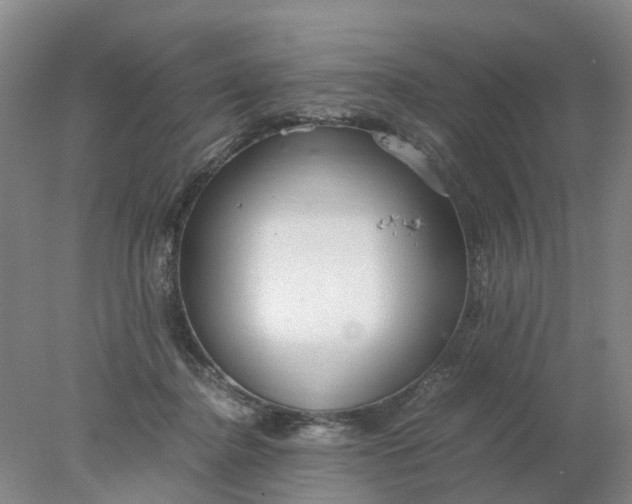 X0000077990364200611101734