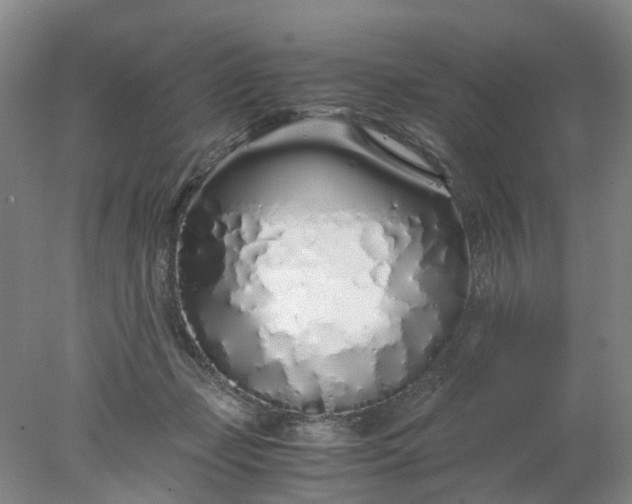 X0000077990365200611101734