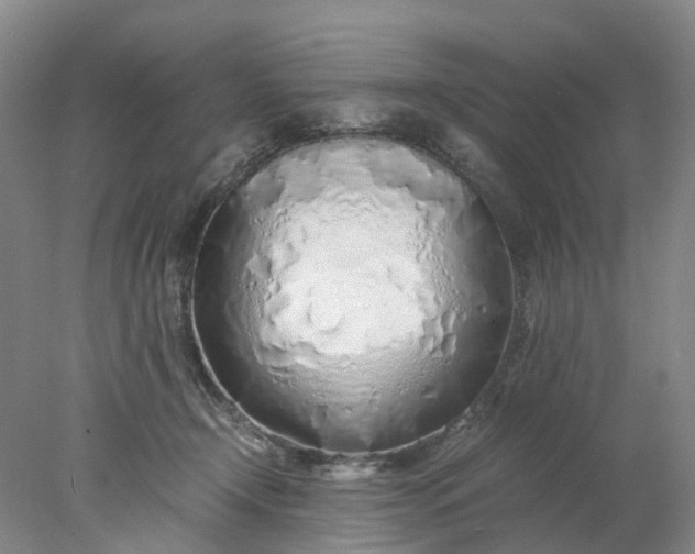 X0000077990366200611101734