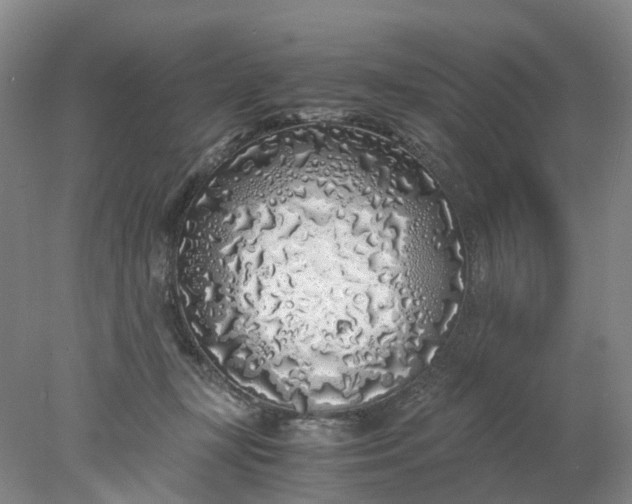 X0000077990367200611101734