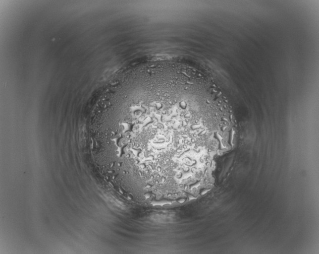 X0000077990369200611101734