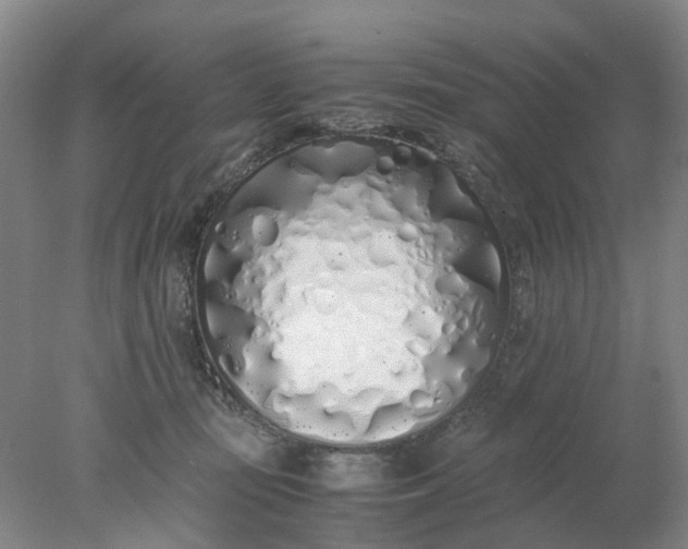 X0000077990371200611101734