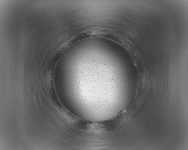 X0000077990372200611101734