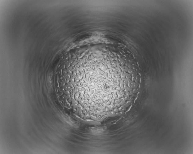 X0000077990373200611101734