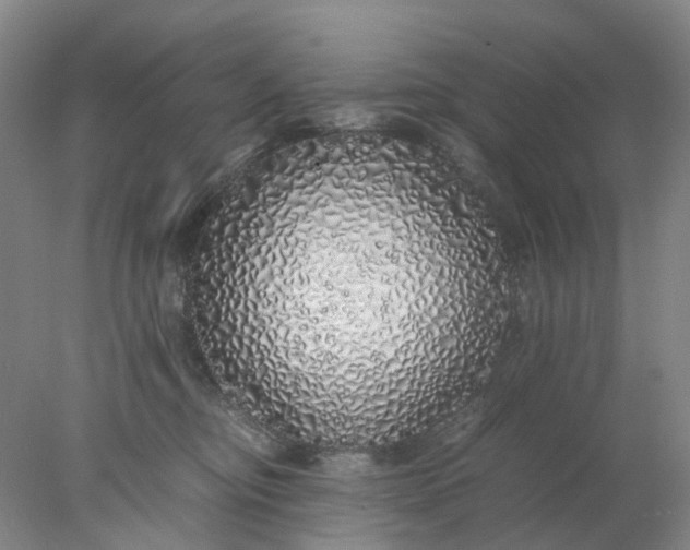 X0000077990374200611101734