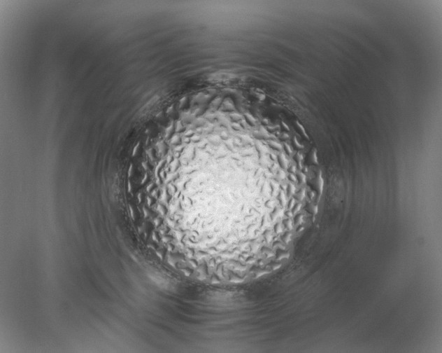 X0000077990375200611101734