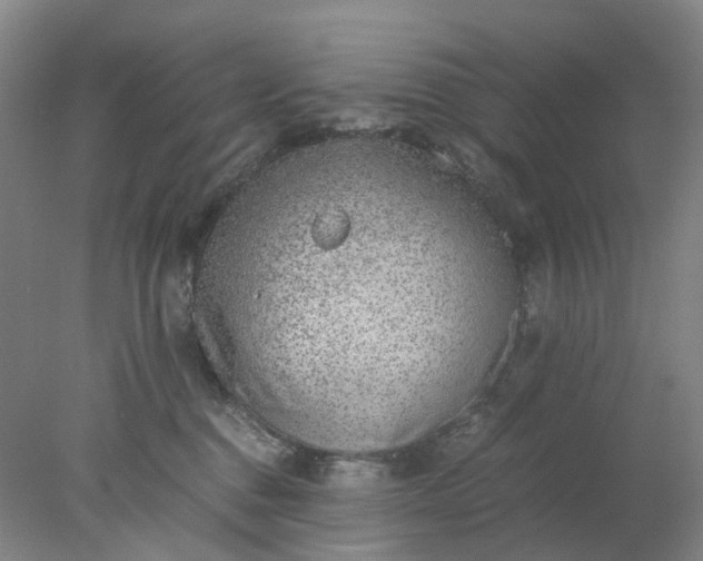 X0000077990376200611101734