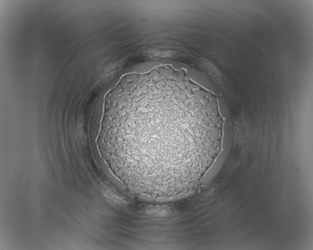 X0000077990377200611101734