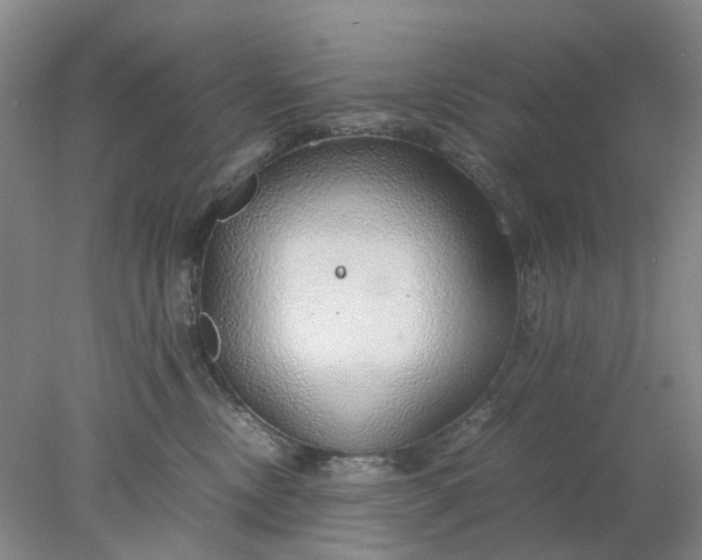 X0000077990378200611101734