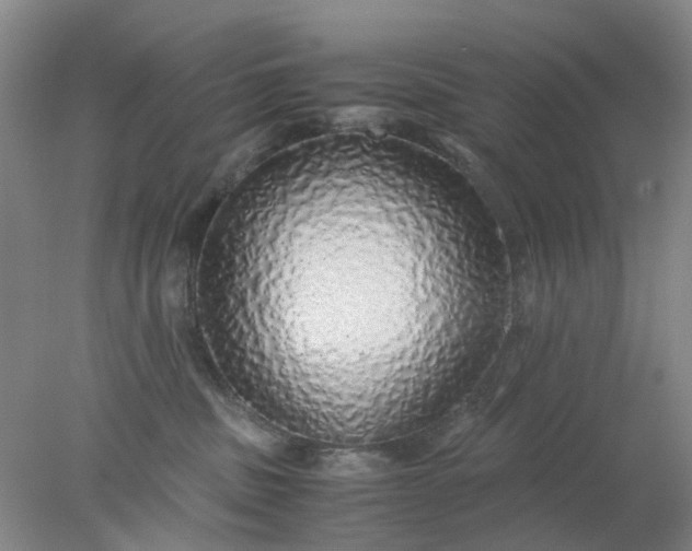 X0000077990379200611101734