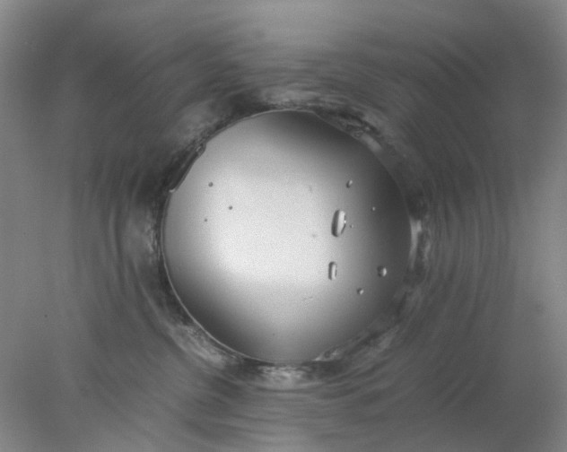 X0000077990380200611101734