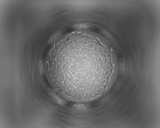 X0000077990381200611101734