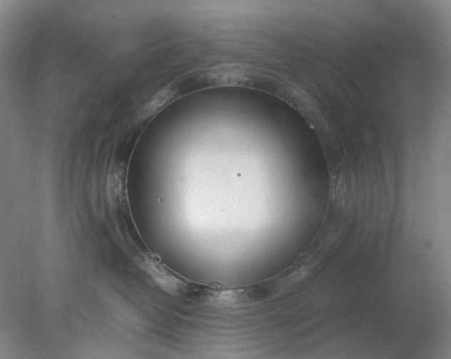 X0000077990382200611101735