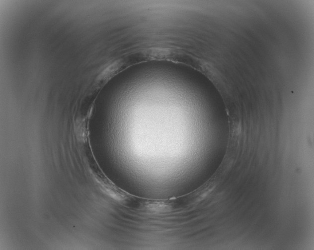 X0000077990383200611101735