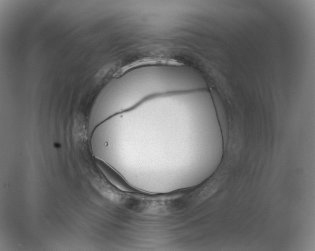 X0000077990384200611101735