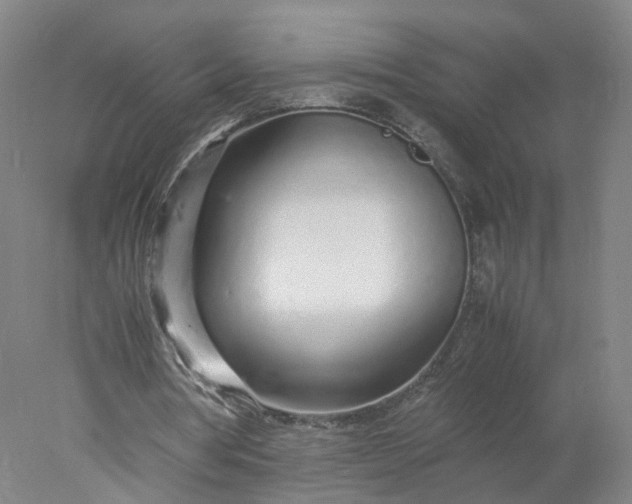 X0000077990386200611101734