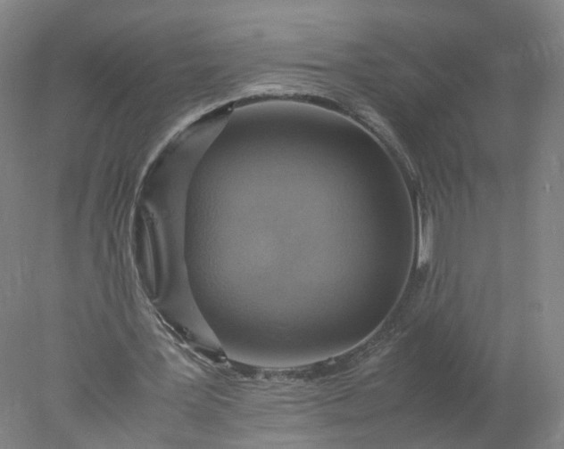 X0000077990387200611101734