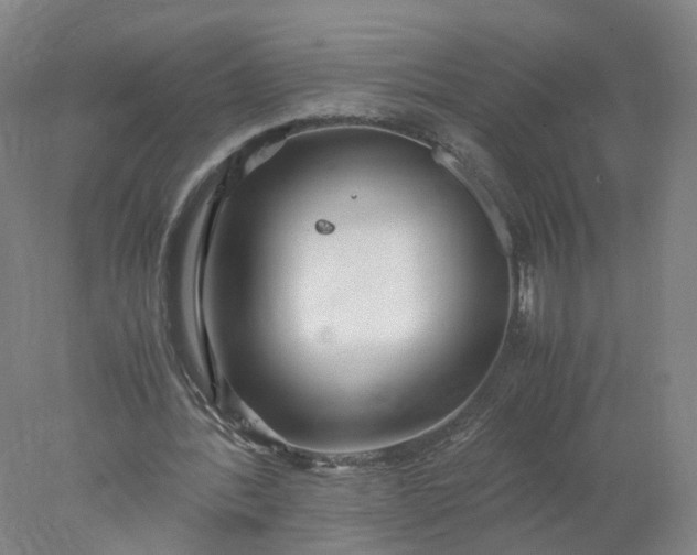 X0000077990388200611101734