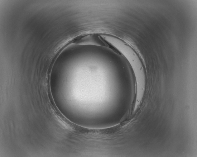 X0000077990389200611101734