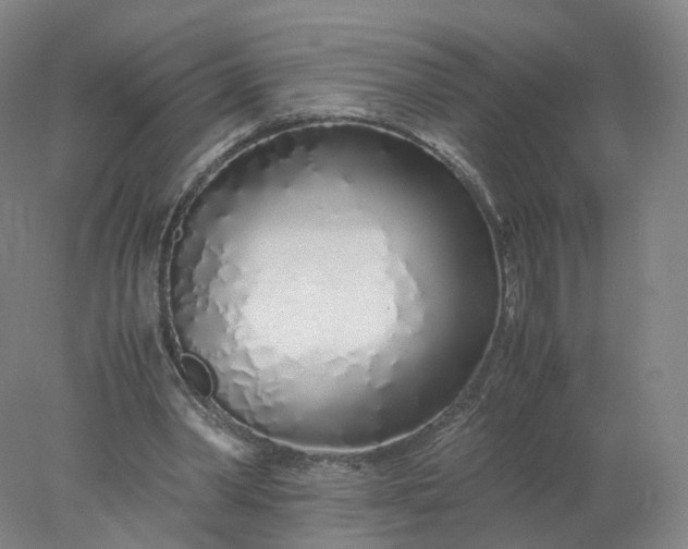 X0000077990390200611101734