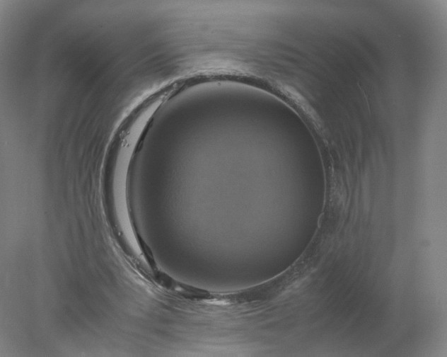 X0000077990391200611101734