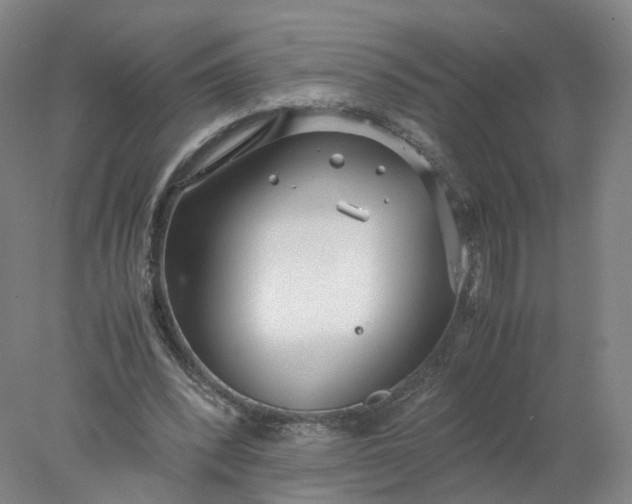 X0000077990392200611101734