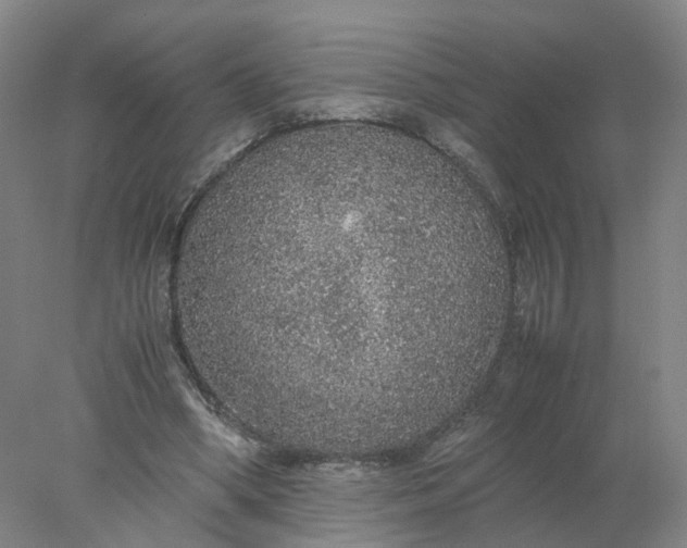 X0000077990394200611101734