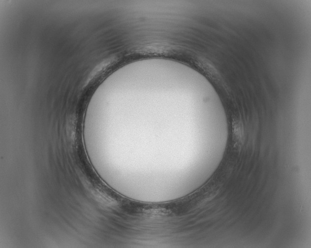 X0000077990396200611101734