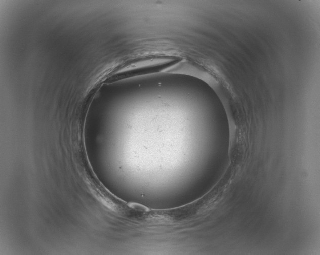 X0000077990397200611101734