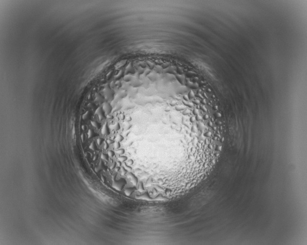 X0000077990398200611101734