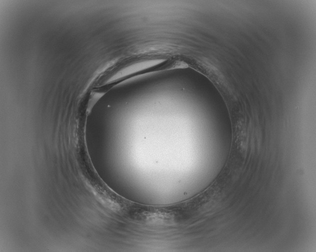 X0000077990400200611101733