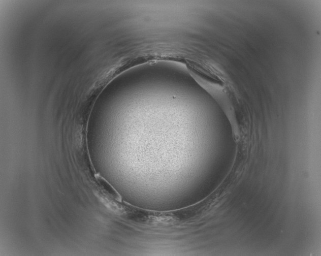 X0000077990401200611101733