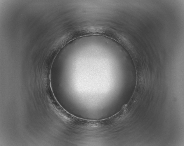 X0000077990402200611101733