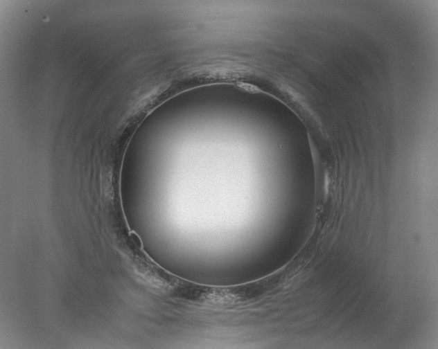 X0000077990403200611101733