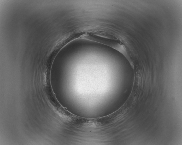 X0000077990404200611101733