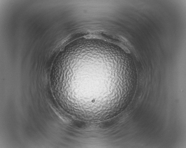 X0000077990405200611101733