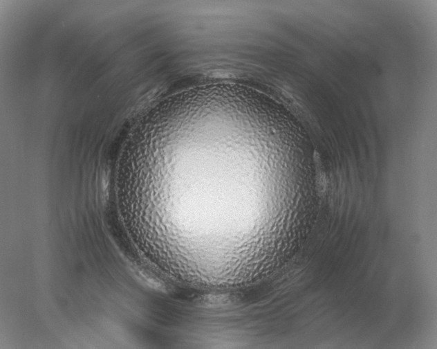 X0000077990406200611101733