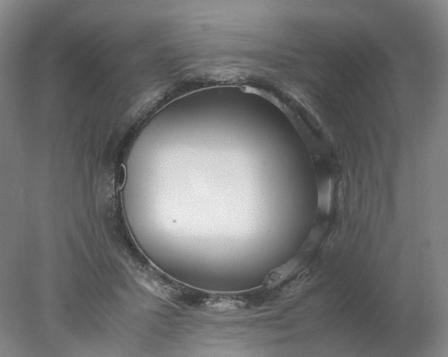 X0000077990407200611101733