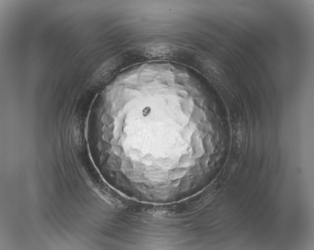 X0000077990408200611101733