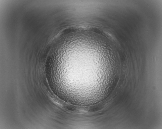 X0000077990409200611101733