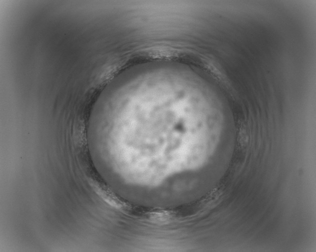 X0000077990411200611101733