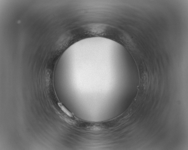 X0000077990412200611101733