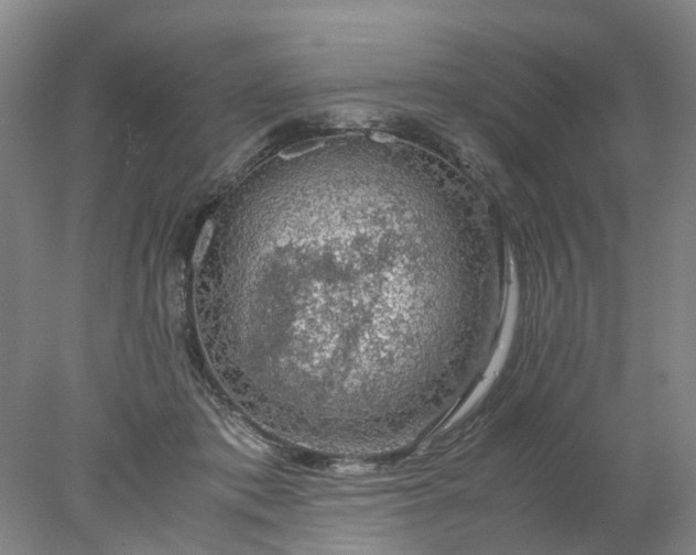 X0000077990413200611101733