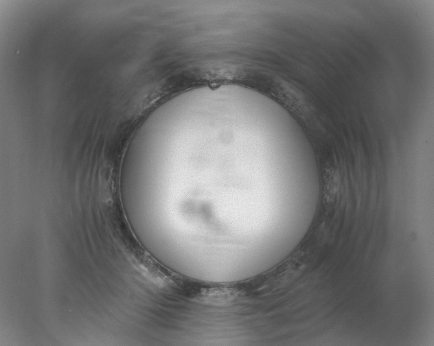 X0000077990414200611101733