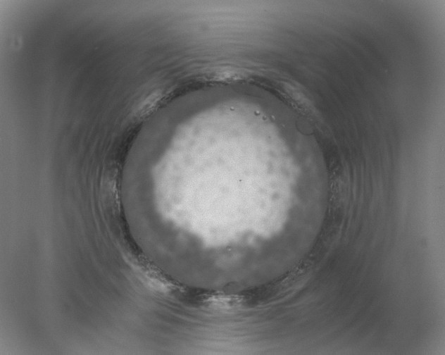 X0000077990415200611101733